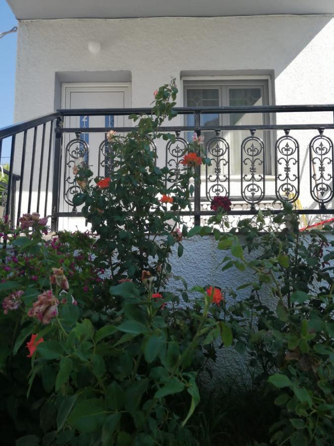 Alexander Apartments Nea Koutali Bagian luar foto
